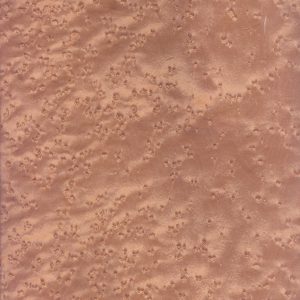 05.069-Bird's eye Maple
