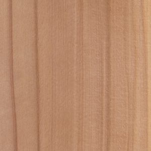 NB537-White Beech With Heart