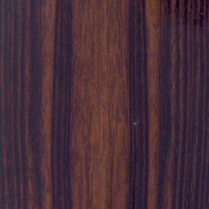 NE544-Ebony
