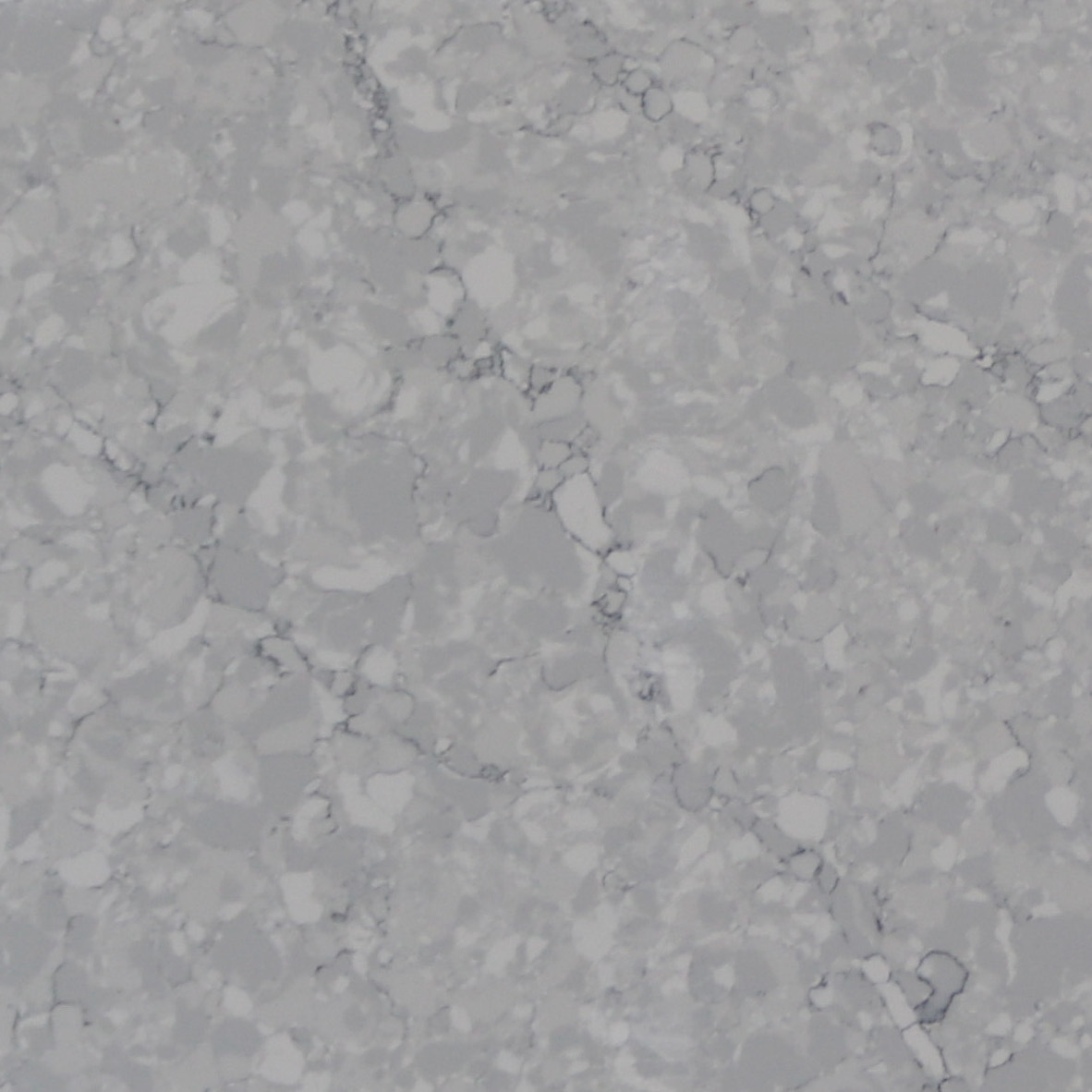 ES-2518 Super White Quartzite-Detail