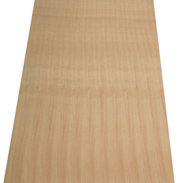 NB509 Full Sheet Vertical 3
