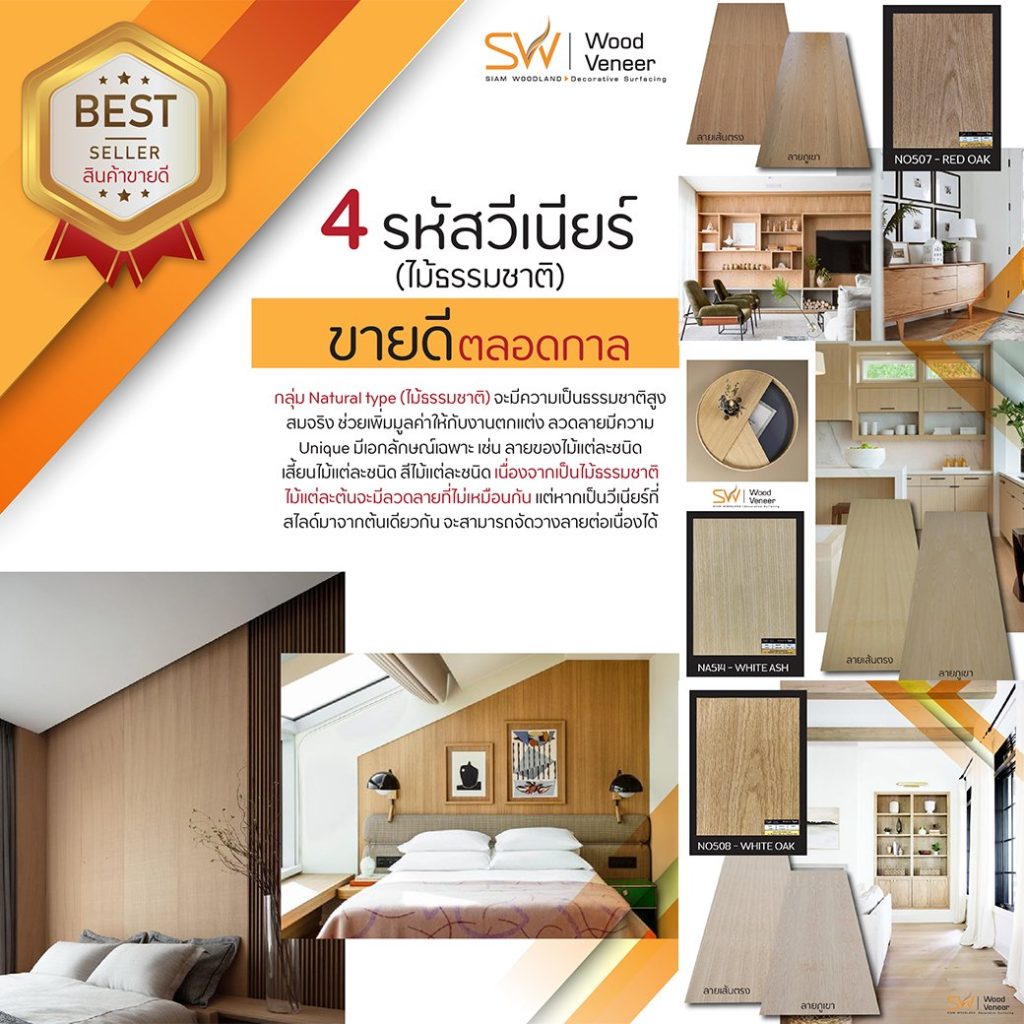 Veneer_All time best_seller