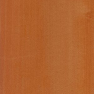 52.066-Bolivar
