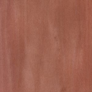 52.089-Bolivar