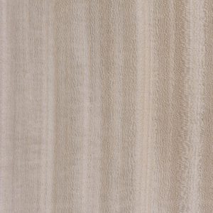 BT 05.001-Koto