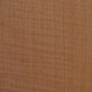 NA525-Heavy Figured Anegre