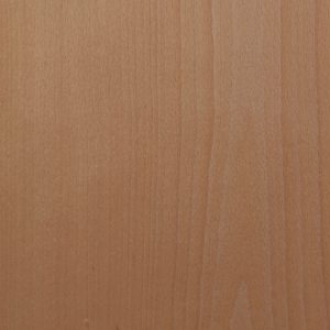 NB501-Beech