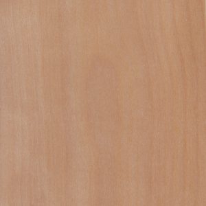 NB509-Birch