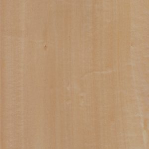 NB528-Basswood
