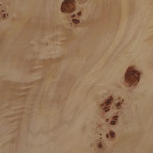 NP517-Mapa Burl