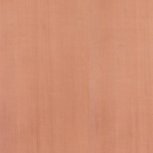 NP543-Pearwood