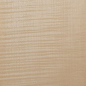 NS505-Figured Sycamore