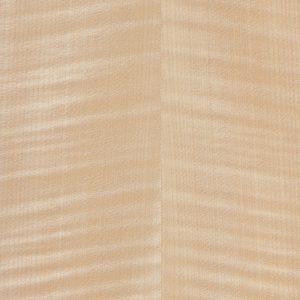 NS539-Plain Sycamore