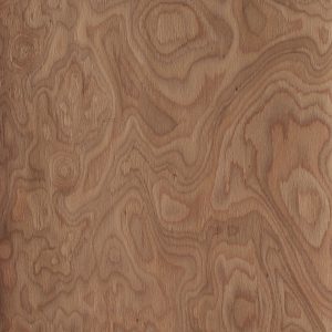 SW005 - Burls