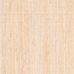 sc9021
