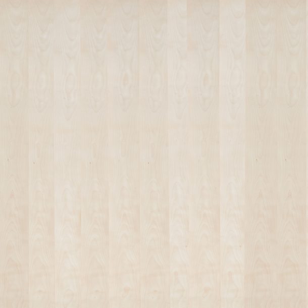 NB509C-2_slip match