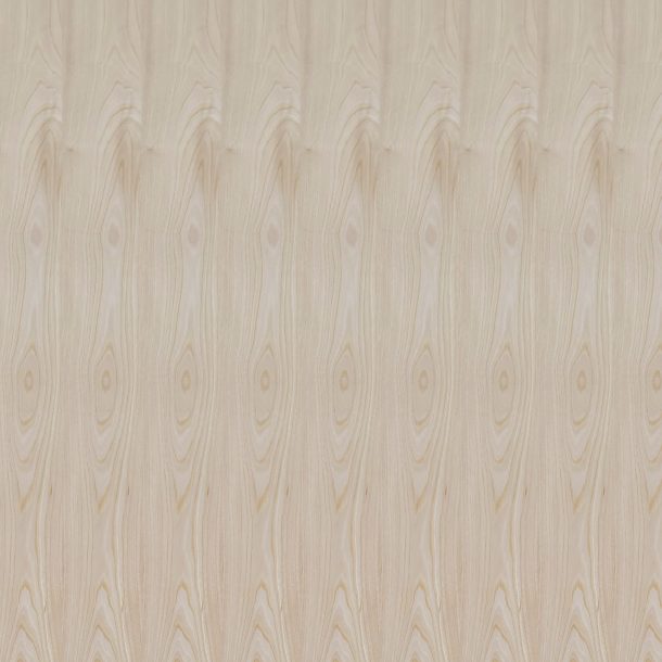 NE541C-2_slip match