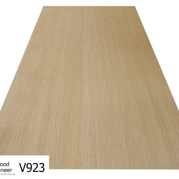 V923_full sheet-2